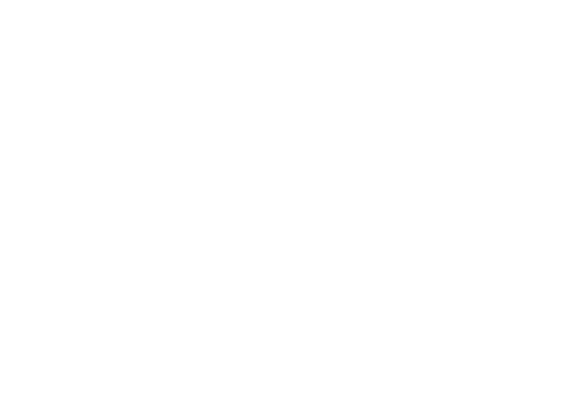Sky Watches